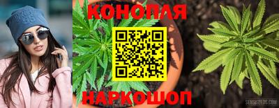 мдпв Пугачёв