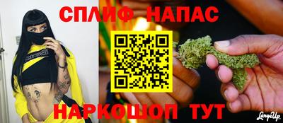 мдпв Пугачёв